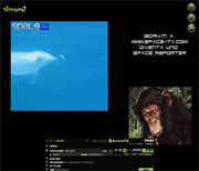 www.streamit.it