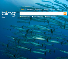 Microsoft Bing
