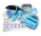 eGovernment