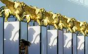 Festival di Venezia
