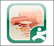 Salumi
