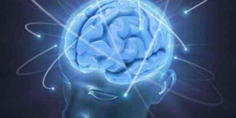 Digital Crime. Il diritto penale e le neuroscienze: rivoluzione o sfida?