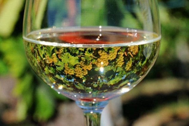 Farnese Vini