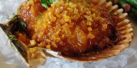 La chimica del gratin
