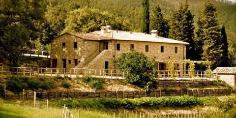 Agriturismo Mafuccio – Anghiari (Arezzo)