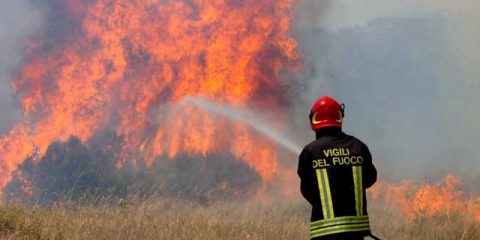 AI e videocamere smart sulle torri tlc di INWIT, così è stato rilevato in tempo un incendio in un’oasi WWF