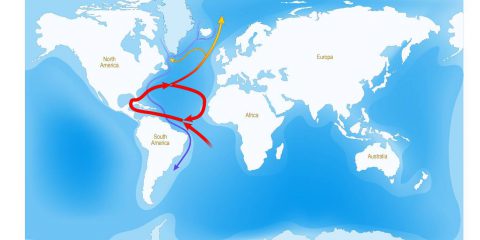 Correnti nord atlantiche verso il collasso, primi segnali già dal 2025. Clima estremo per l’Europa. Lo studio