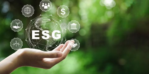 AI e sostenibilità, complice del greenwashing o leva strategica?